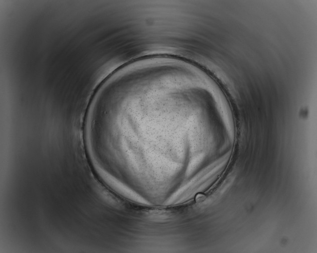 X0000102871137200809021441