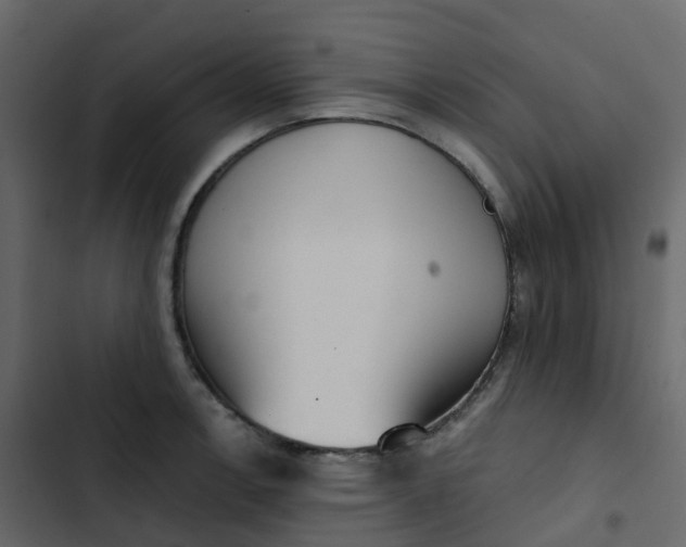 X0000102871138200809021441