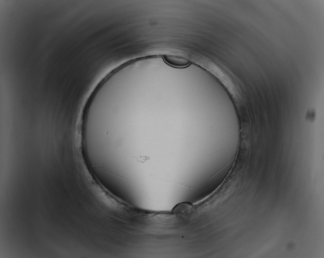 X0000102871140200809021441