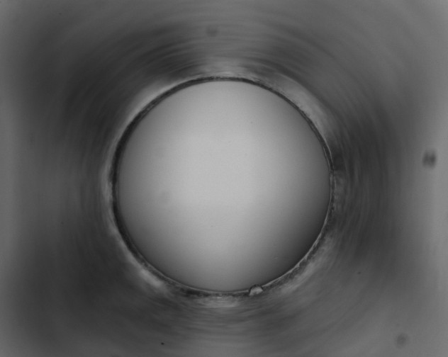 X0000102871141200809021441