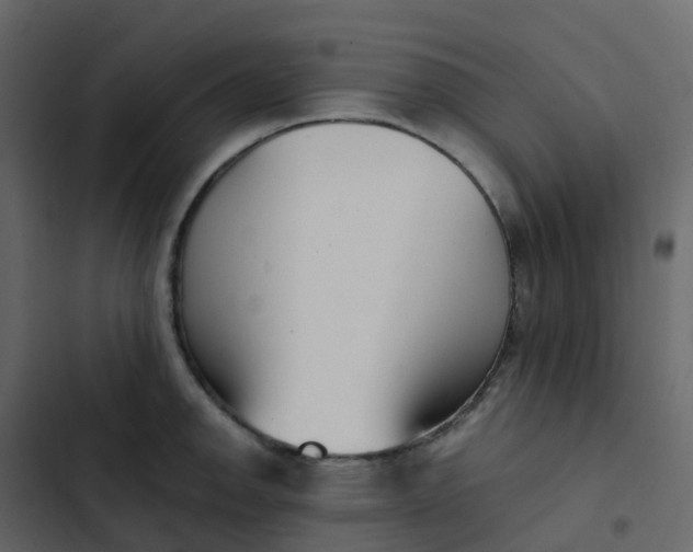 X0000102871142200809021441