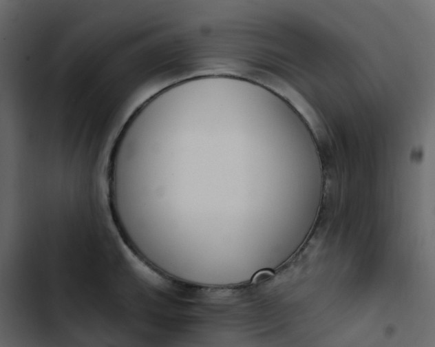 X0000102871143200809021441