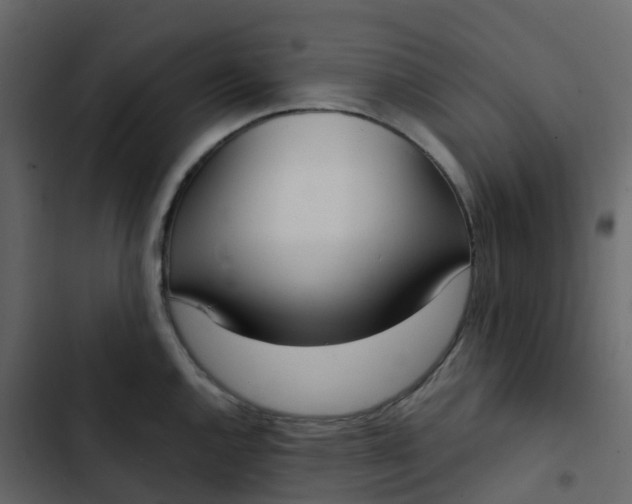 X0000102871144200809021441