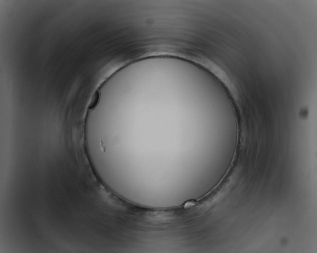 X0000102871145200809021441