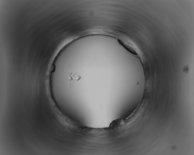 X0000102871146200809021441