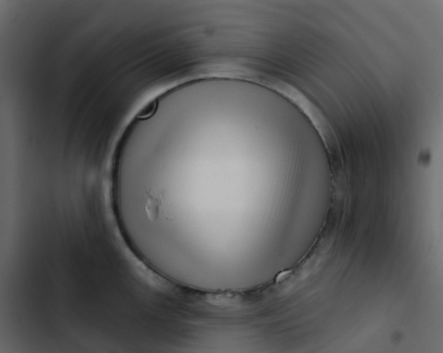 X0000102871147200809021441