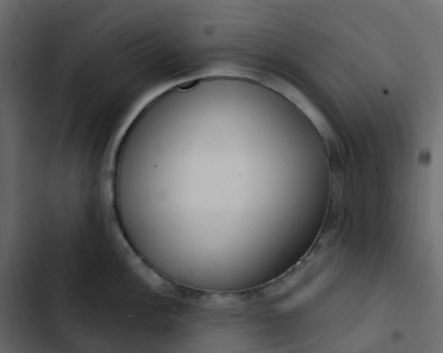 X0000102871148200809021441