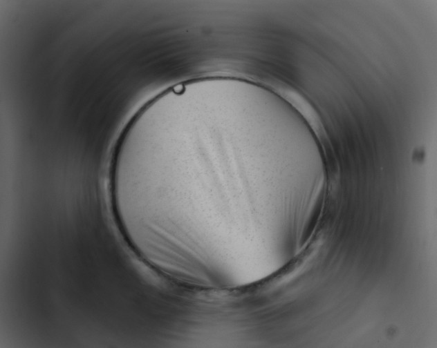 X0000102871149200809021441