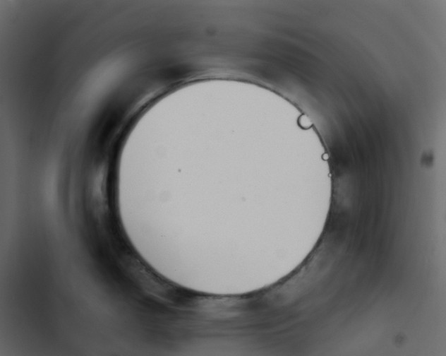 X0000102871150200809021441