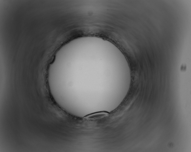 X0000102871153200809021441