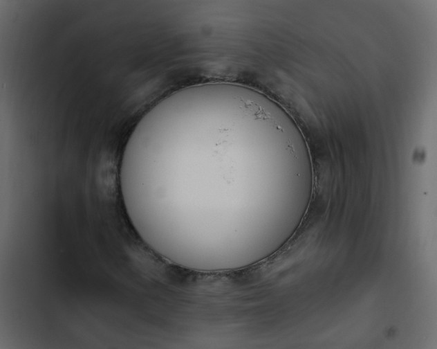 X0000102871154200809021441