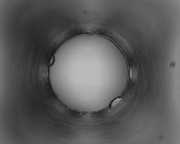 X0000102871155200809021441