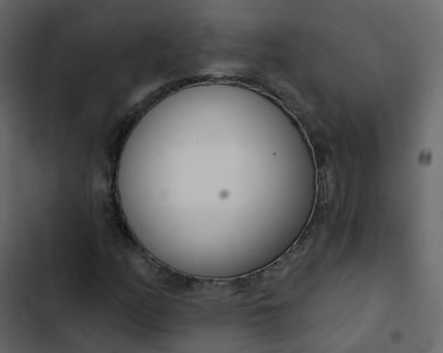 X0000102871158200809021441