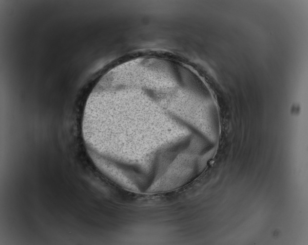 X0000102871159200809021441