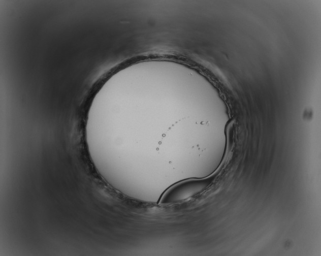 X0000102871160200809021441