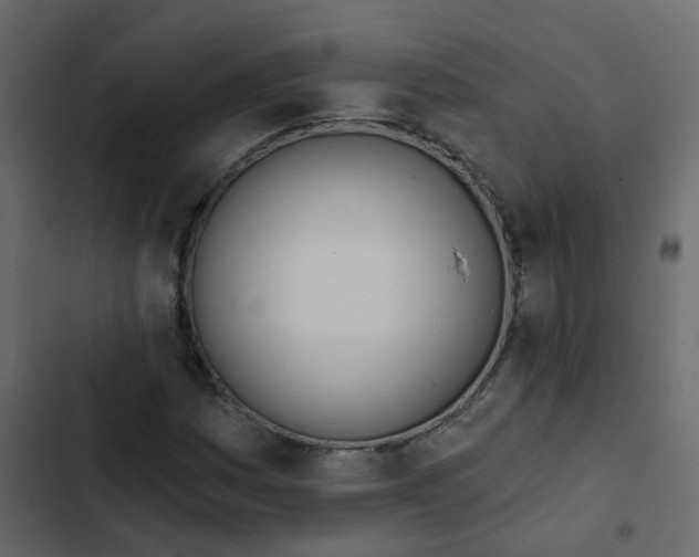 X0000102871161200809021441