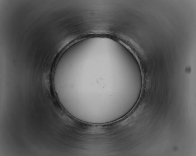 X0000102871162200809021440