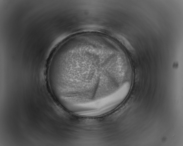 X0000102871164200809021440