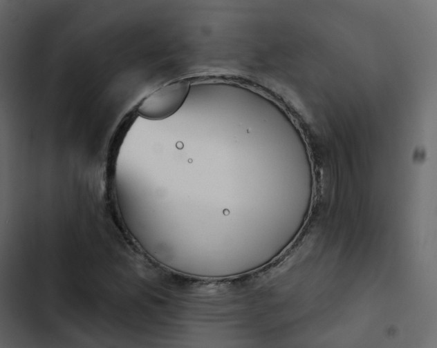 X0000102871165200809021440