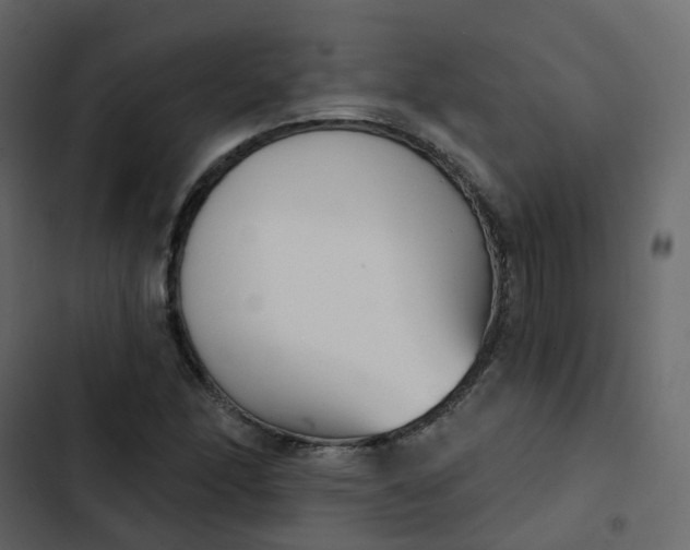 X0000102871166200809021440