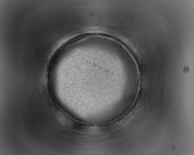 X0000102871167200809021440