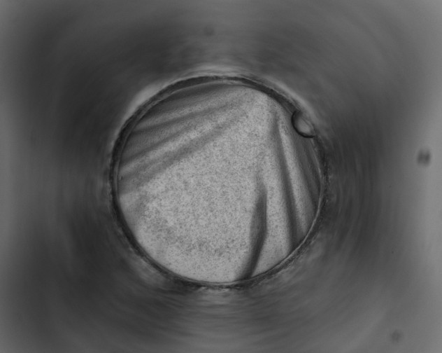 X0000102871168200809021440