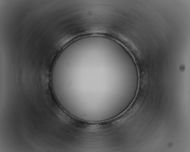 X0000102871169200809021440