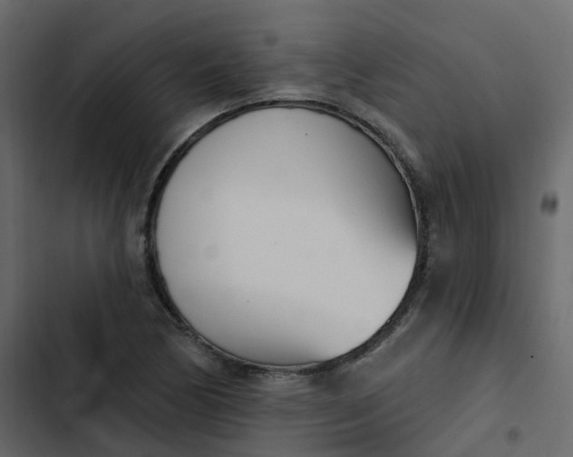 X0000102871170200809021440