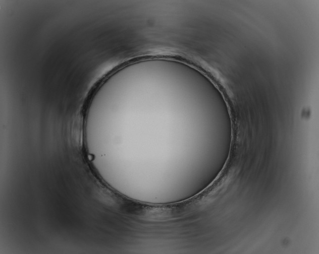 X0000102871171200809021440