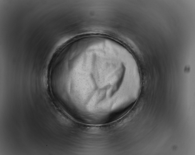 X0000102871172200809021440