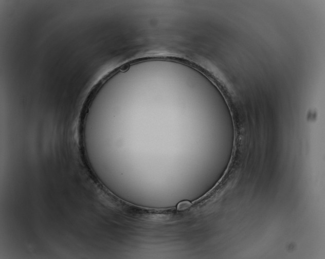 X0000102871173200809021440