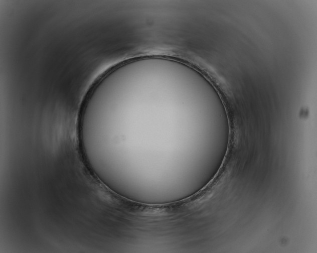 X0000102871174200809021440