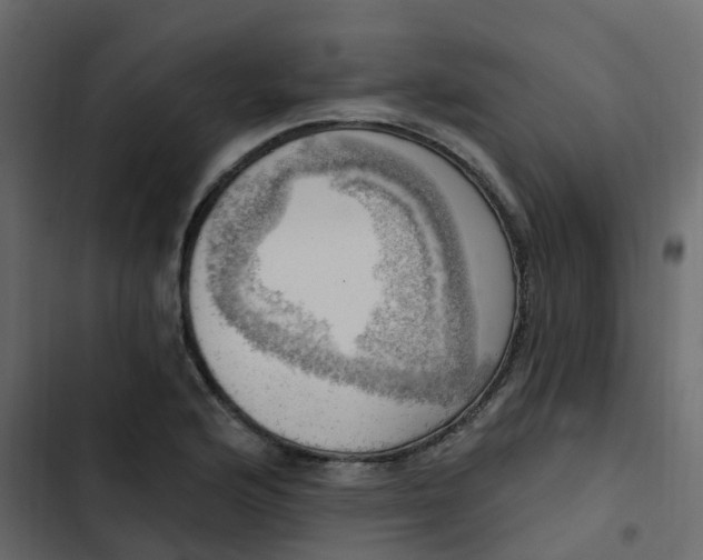 X0000102871176200809021440