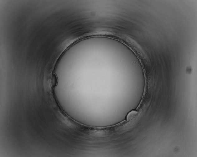 X0000102871177200809021440