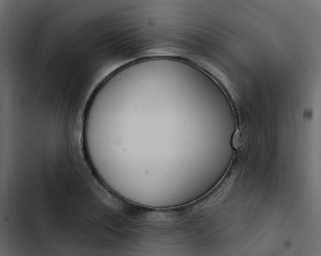 X0000102871179200809021440