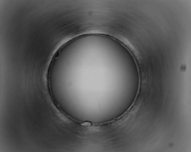 X0000102871181200809021440