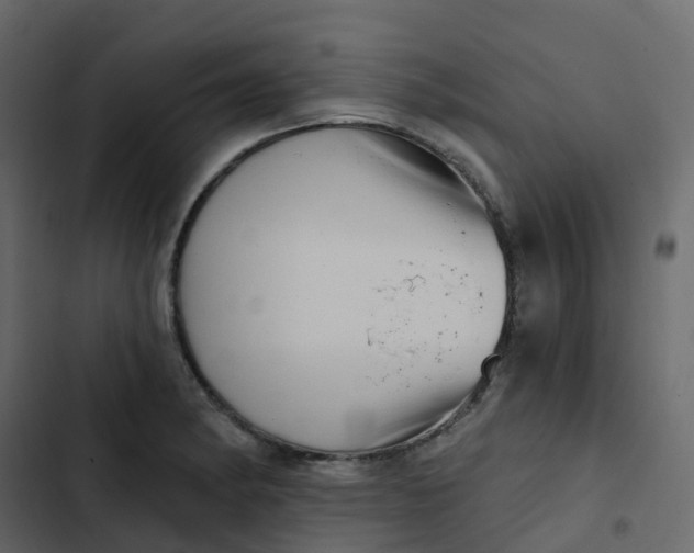 X0000102871182200809021440