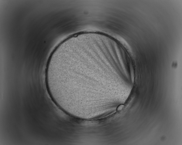 X0000102871183200809021440