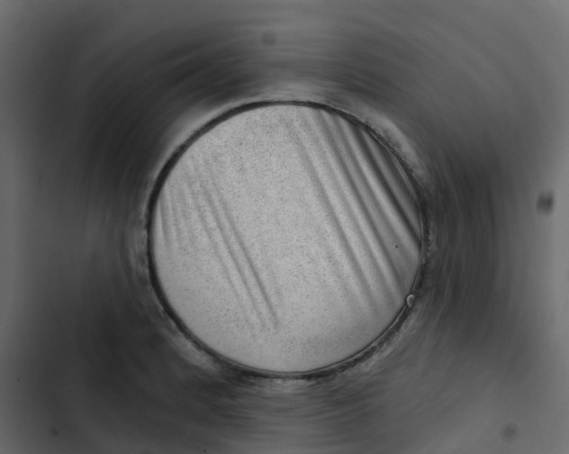 X0000102871184200809021440