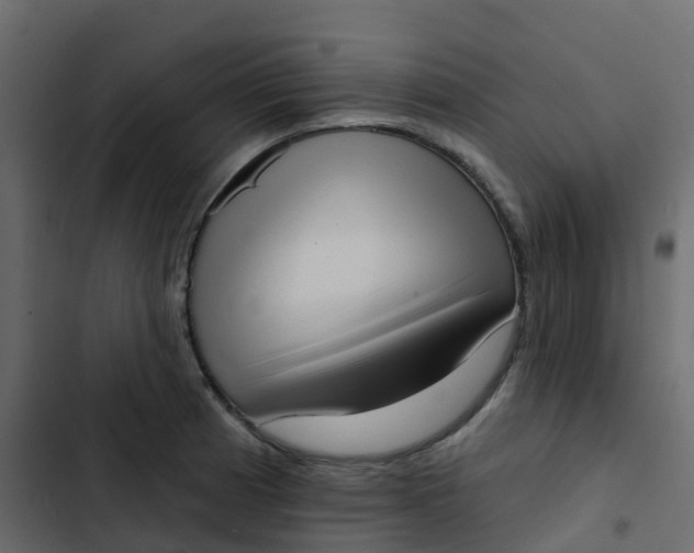 X0000102871185200809021440