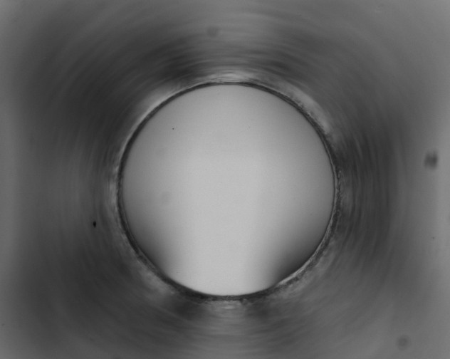 X0000102871186200809021440