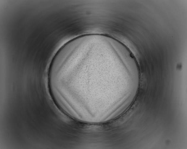 X0000102871187200809021440