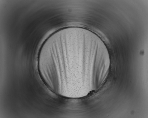 X0000102871188200809021440