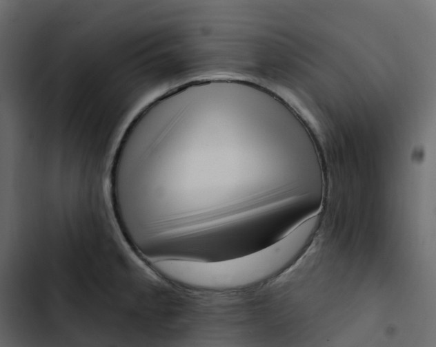 X0000102871189200809021440