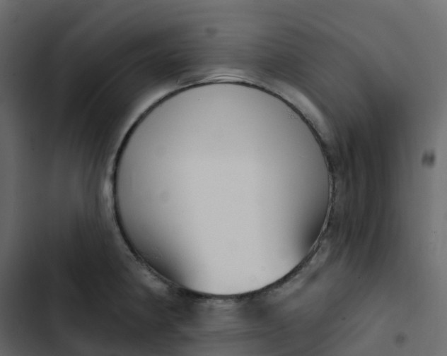 X0000102871190200809021440