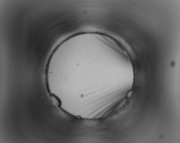 X0000102871191200809021440