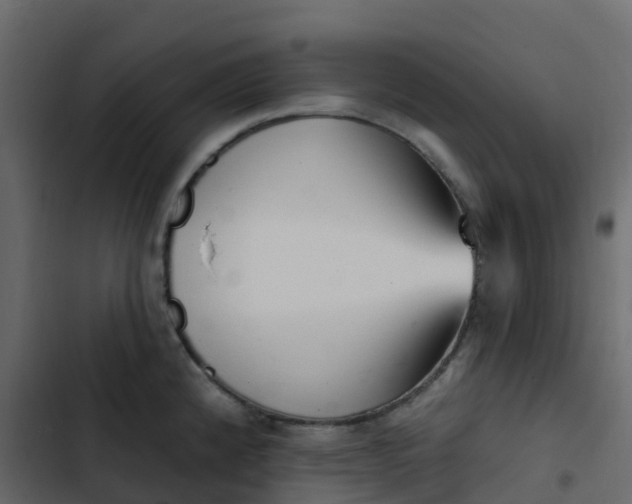 X0000102871192200809021440