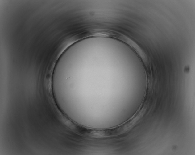 X0000102871194200809021440