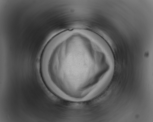 X0000102871195200809021440