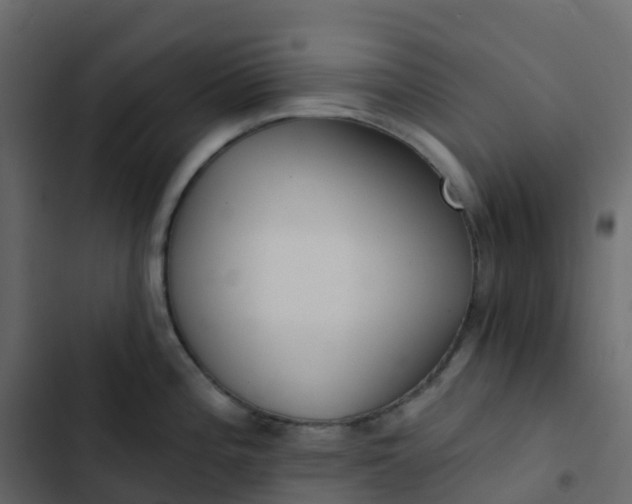 X0000102871196200809021440